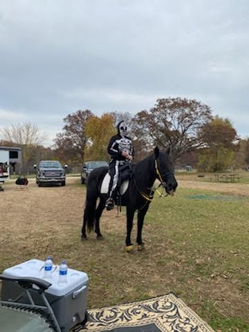 Person on a black horse in a grassy field, with a truck and cooler nearby.