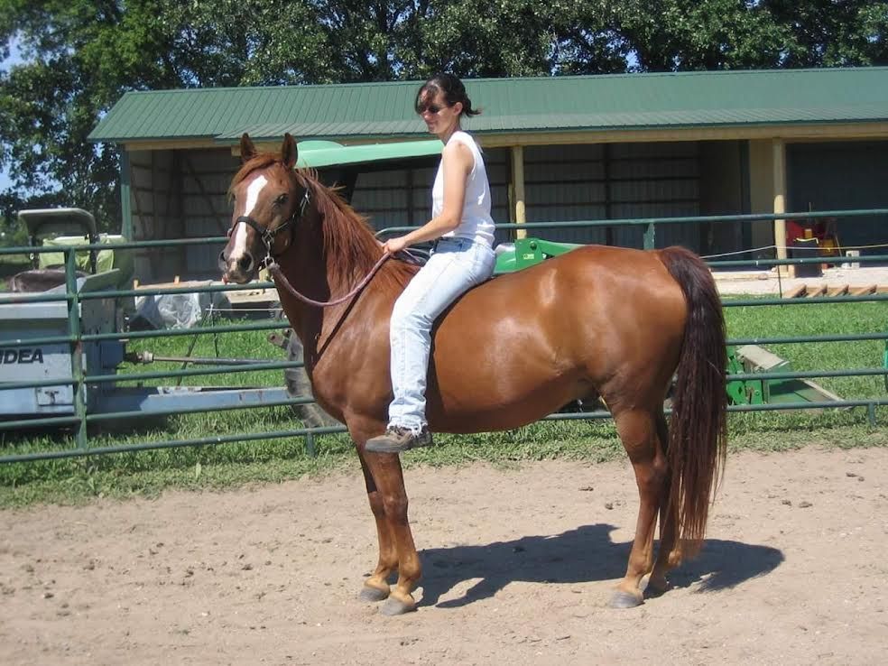 Person sitting on a brown horse in a sandy riding arena with a green-roofed stable in the background