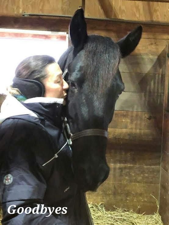 Woman kissing a black horse in a stable with the word “Goodbyes” overlaid