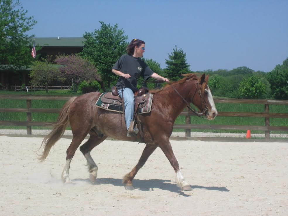 Rider on a brown horse trotting in a sandy outdoor arena, with trees and a building in the background.