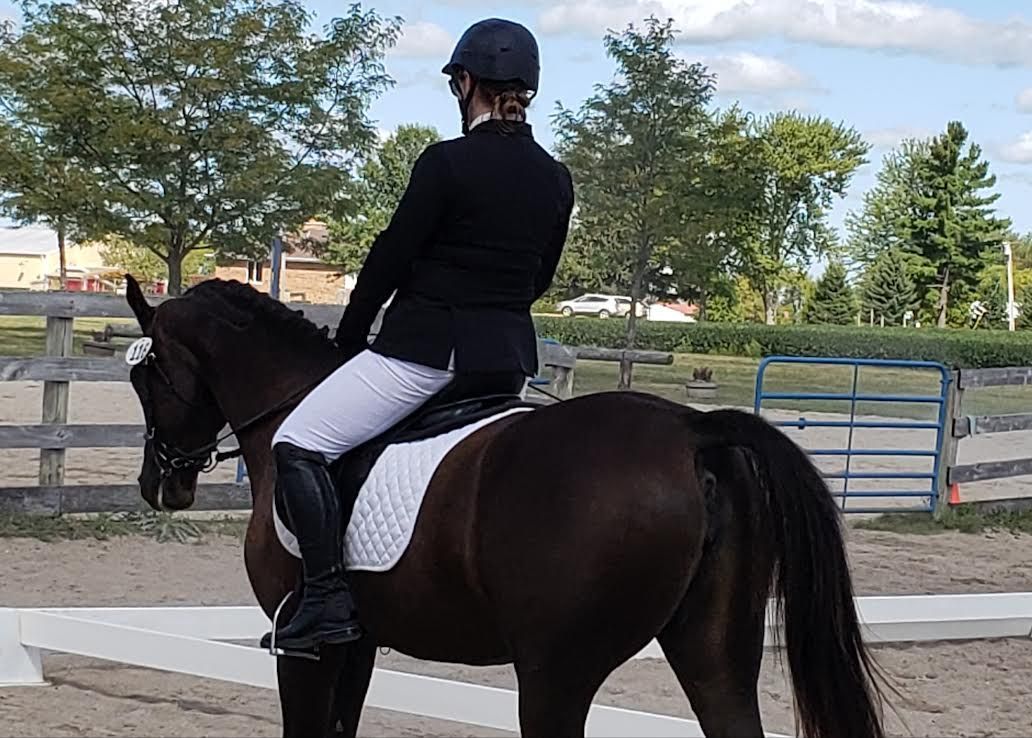 Rider in black on a dark horse in an outdoor arena, viewed from behind.