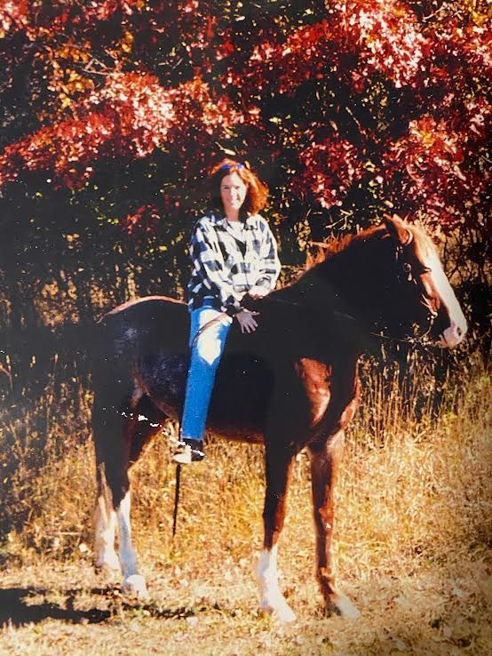 Person sitting on a dark horse in a grassy field with autumn trees behind them