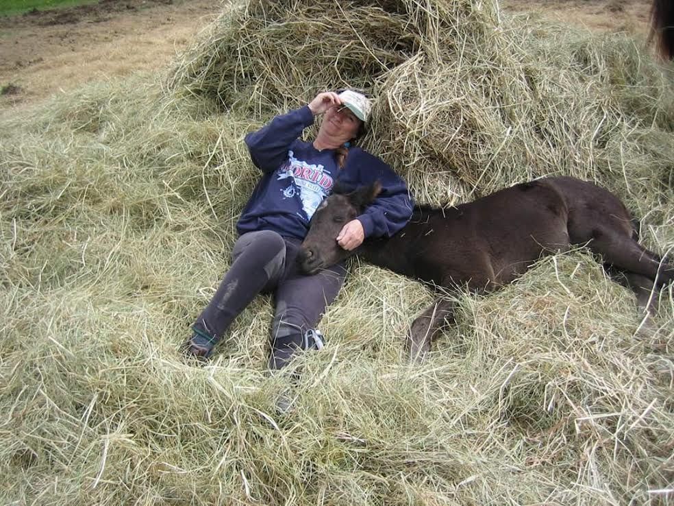Person in a cap reclining on hay beside a resting dark horse in a field.