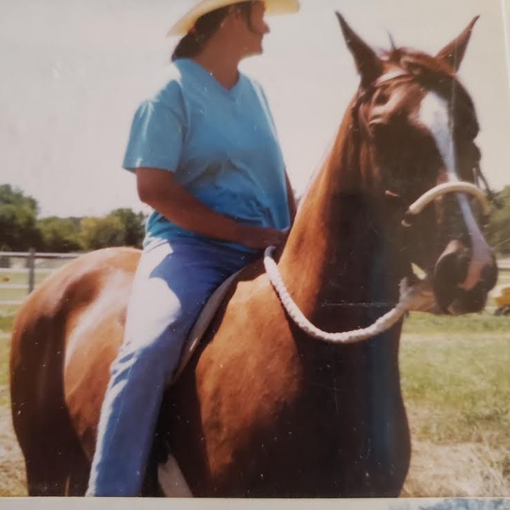Person in a blue shirt and hat riding a brown horse in a grassy field