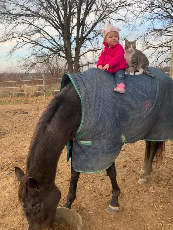 Child in a pink jacket sitting on a blanket-covered horse with a cat on its back in a rural field.