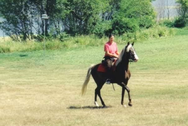 Person riding a black horse across a grassy field with trees in the background