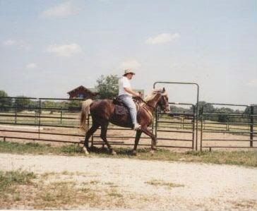 Rider on a brown horse in a fenced outdoor arena under a sunny sky