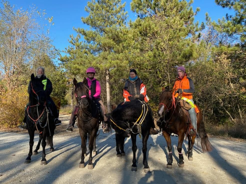 Four horseback riders on a wooded trail in autumn sunlight