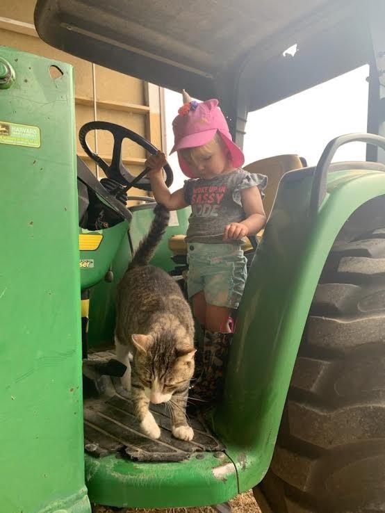 Child in a pink hat stands on a green tractor seat beside a cat in the cab.
