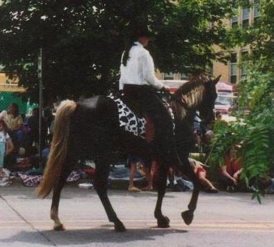 Horse and rider walking past a crowd on a city street