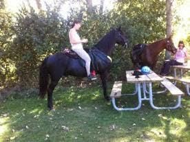 Person riding a black horse beside a picnic table in a grassy yard, with another horse and seated person nearby