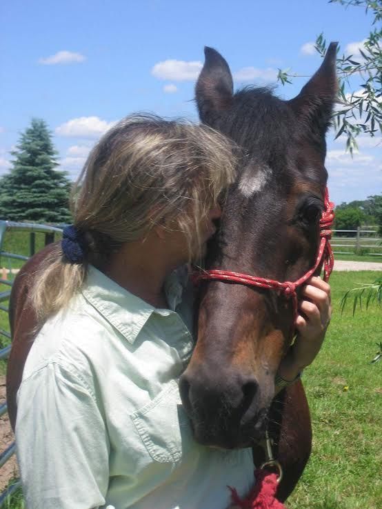 Person hugging a dark brown horse wearing a red halter outdoors on a sunny day