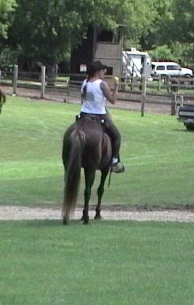 Person riding a dark horse on a grassy path near a fenced park area