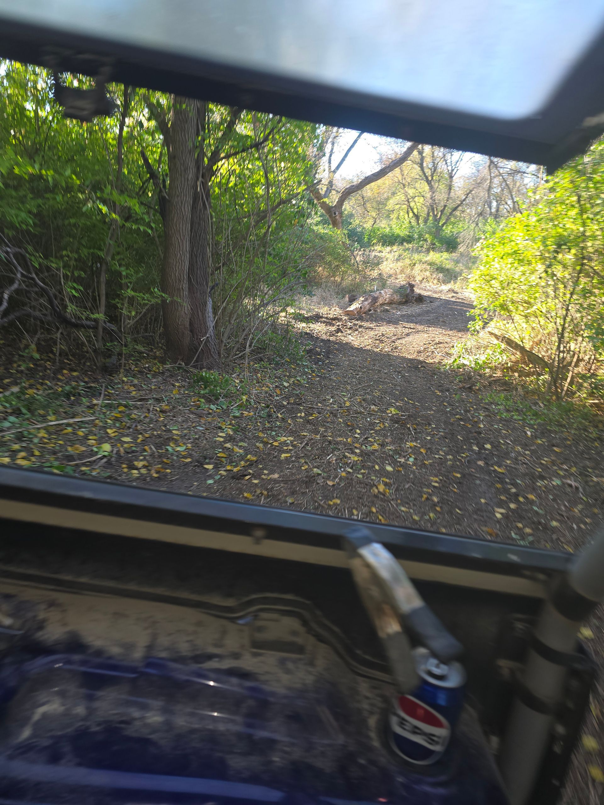 View from inside a vehicle on a narrow dirt path through dense green woods