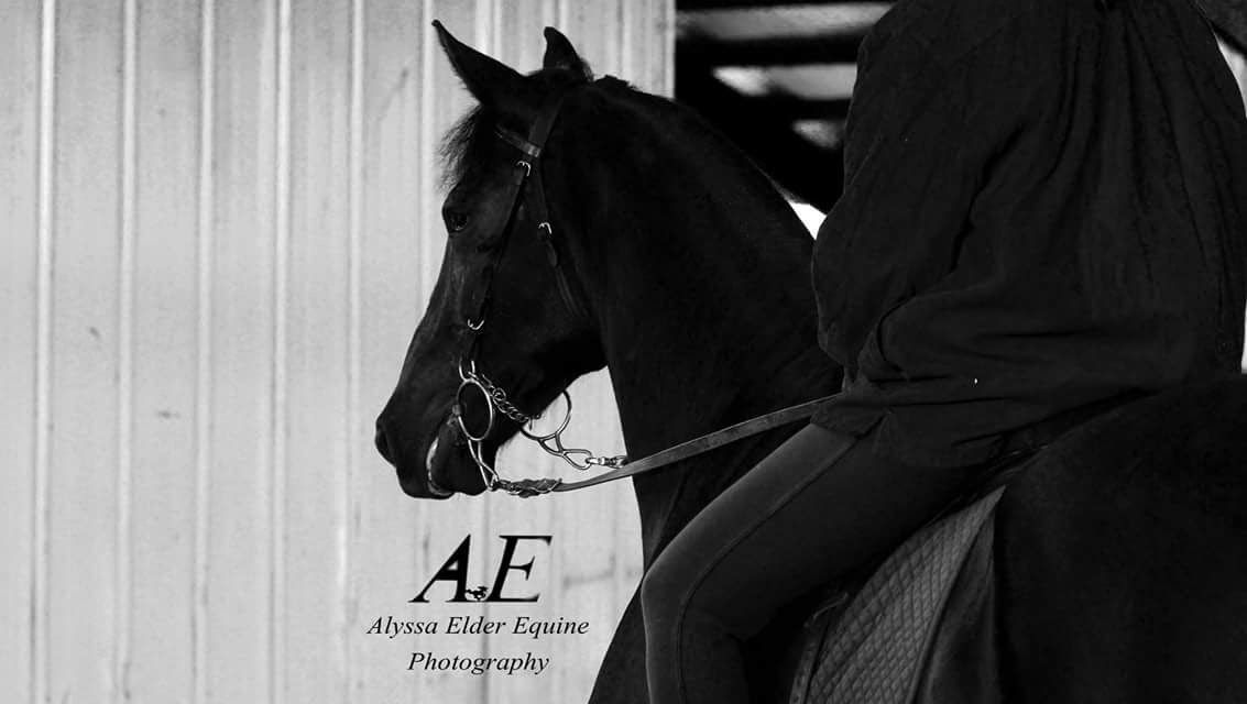 Black horse beside a hooded rider in a stable, with an AE sign in the background