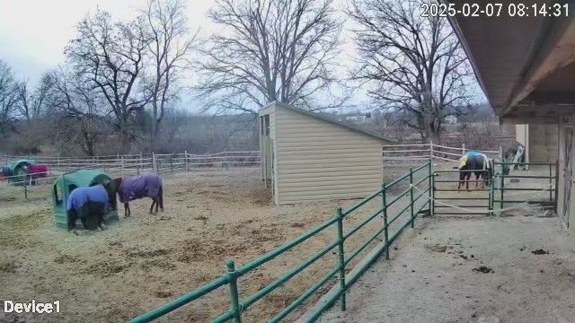 Several horses grazing in a fenced paddock beside a barn, viewed from a covered walkway.