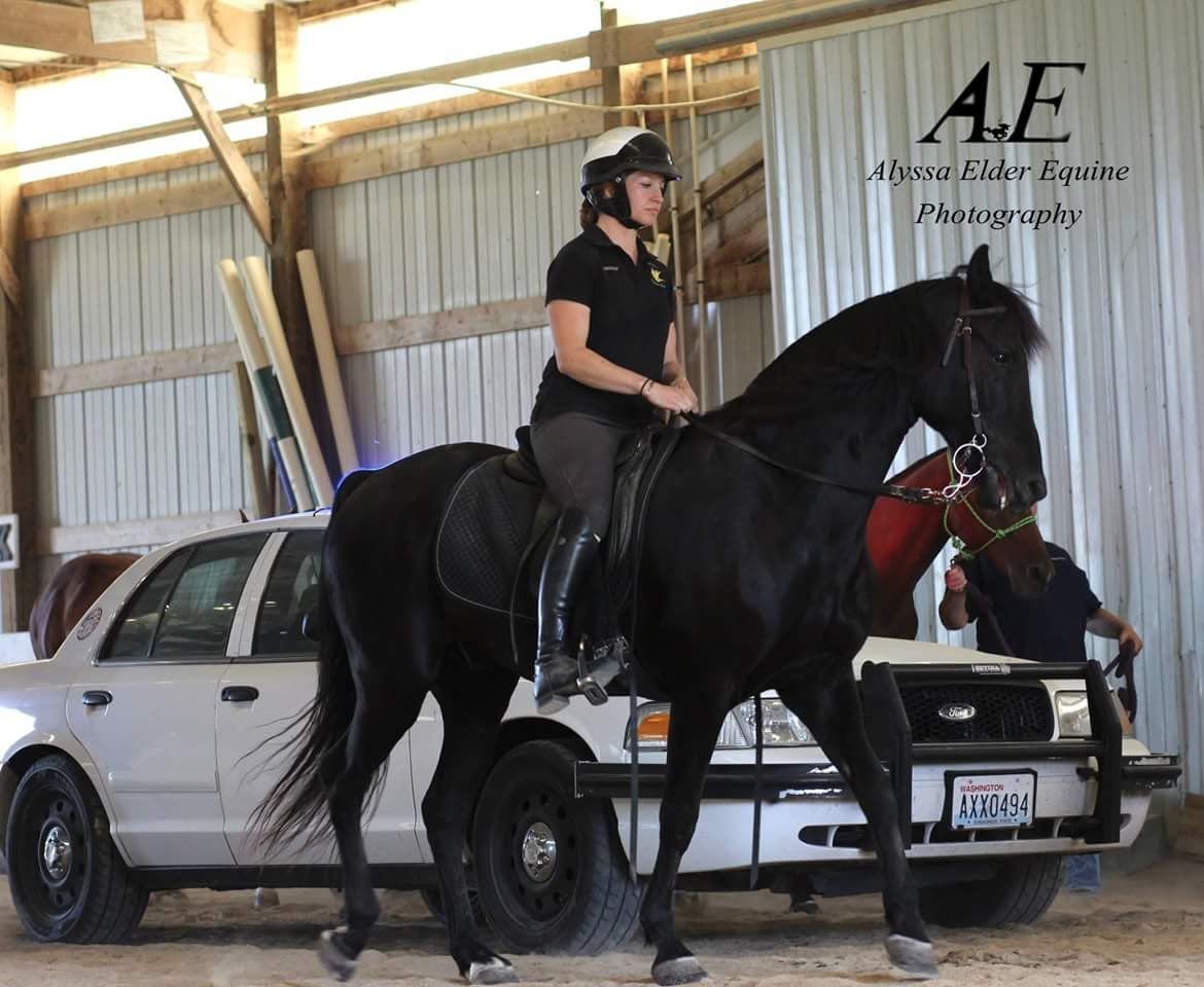Black horse with rider in helmet inside an indoor arena, with cars parked behind them