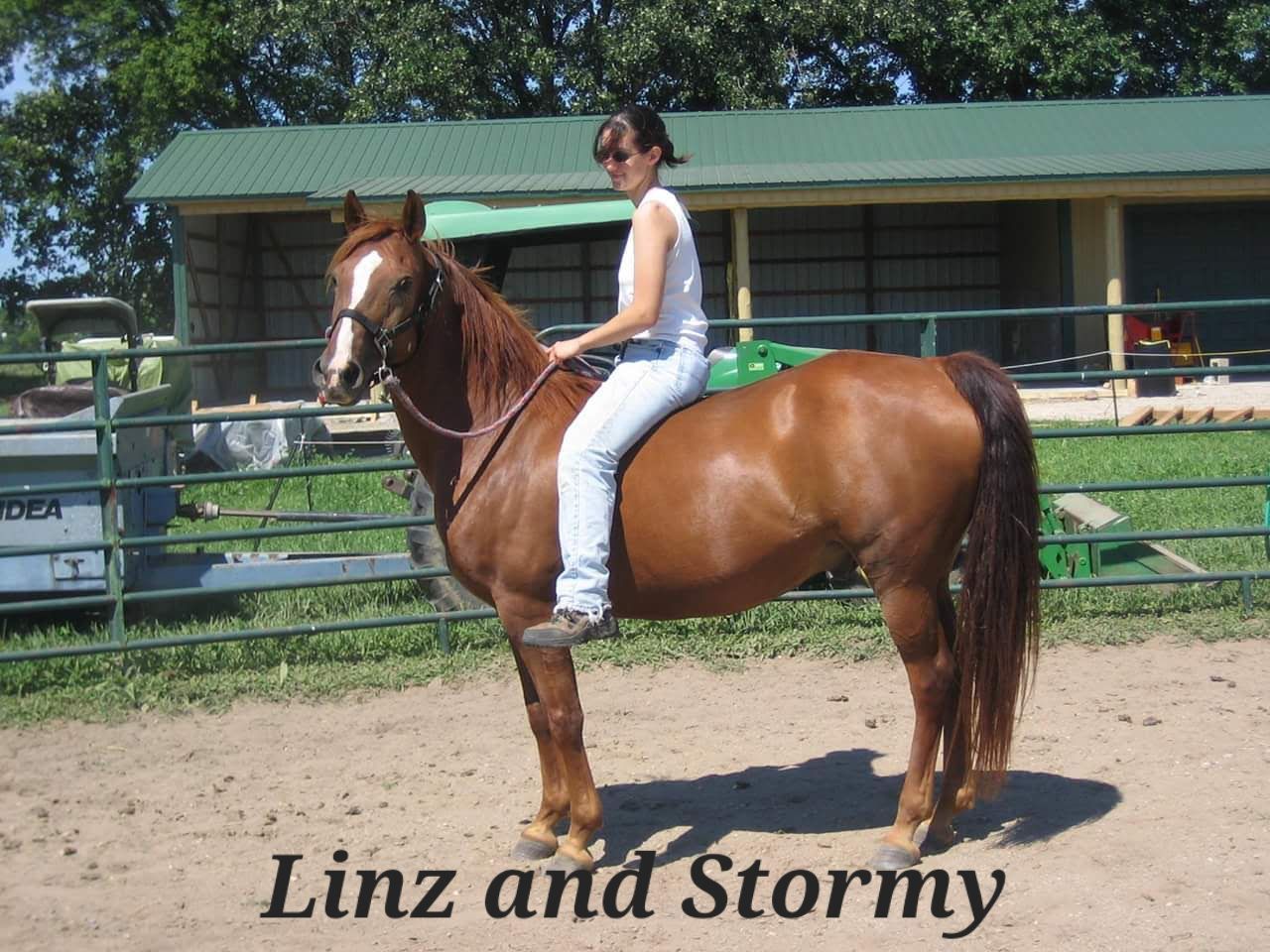 Person on brown horse in an outdoor arena, with “Linz and Stormy” text at the bottom.