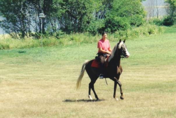 Person riding a black horse in a grassy field near trees.