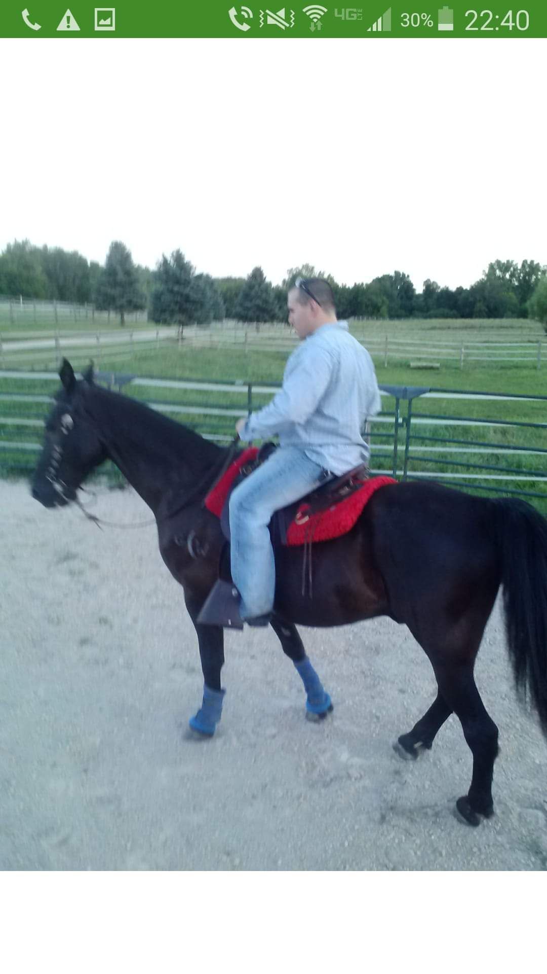 Person riding a black horse with a red saddle blanket on a gravel path near a grassy field.