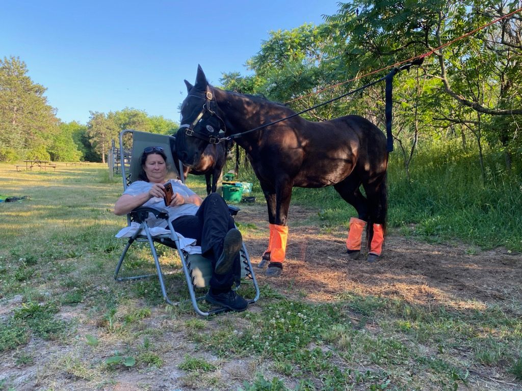 Person sitting in a chair beside a black horse with orange leg wraps in a grassy field at sunset