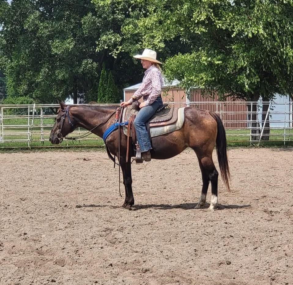 Person on a brown horse in a dusty arena, wearing a white hat and plaid shirt, with a fenced background.