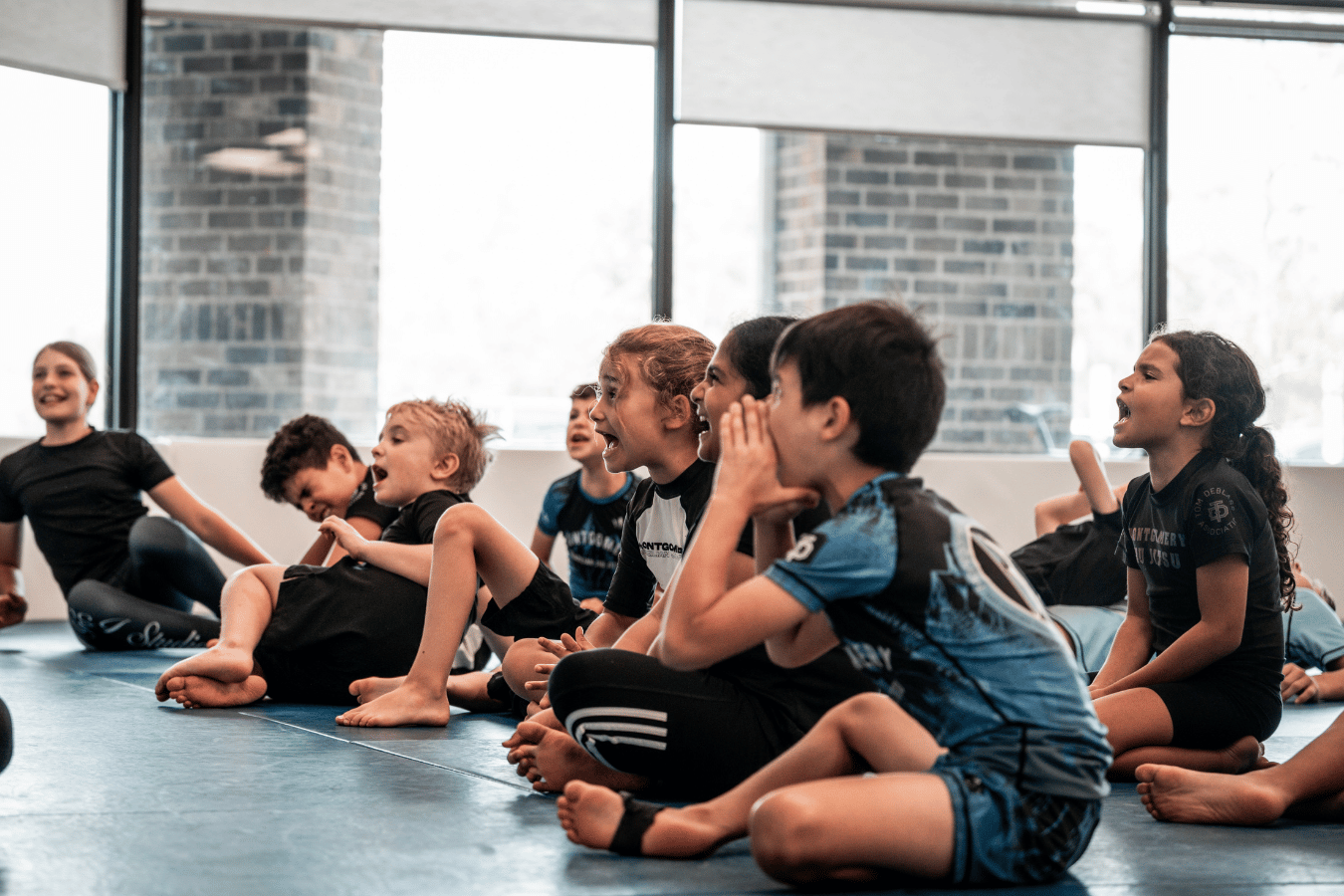 Montgomery BJJ