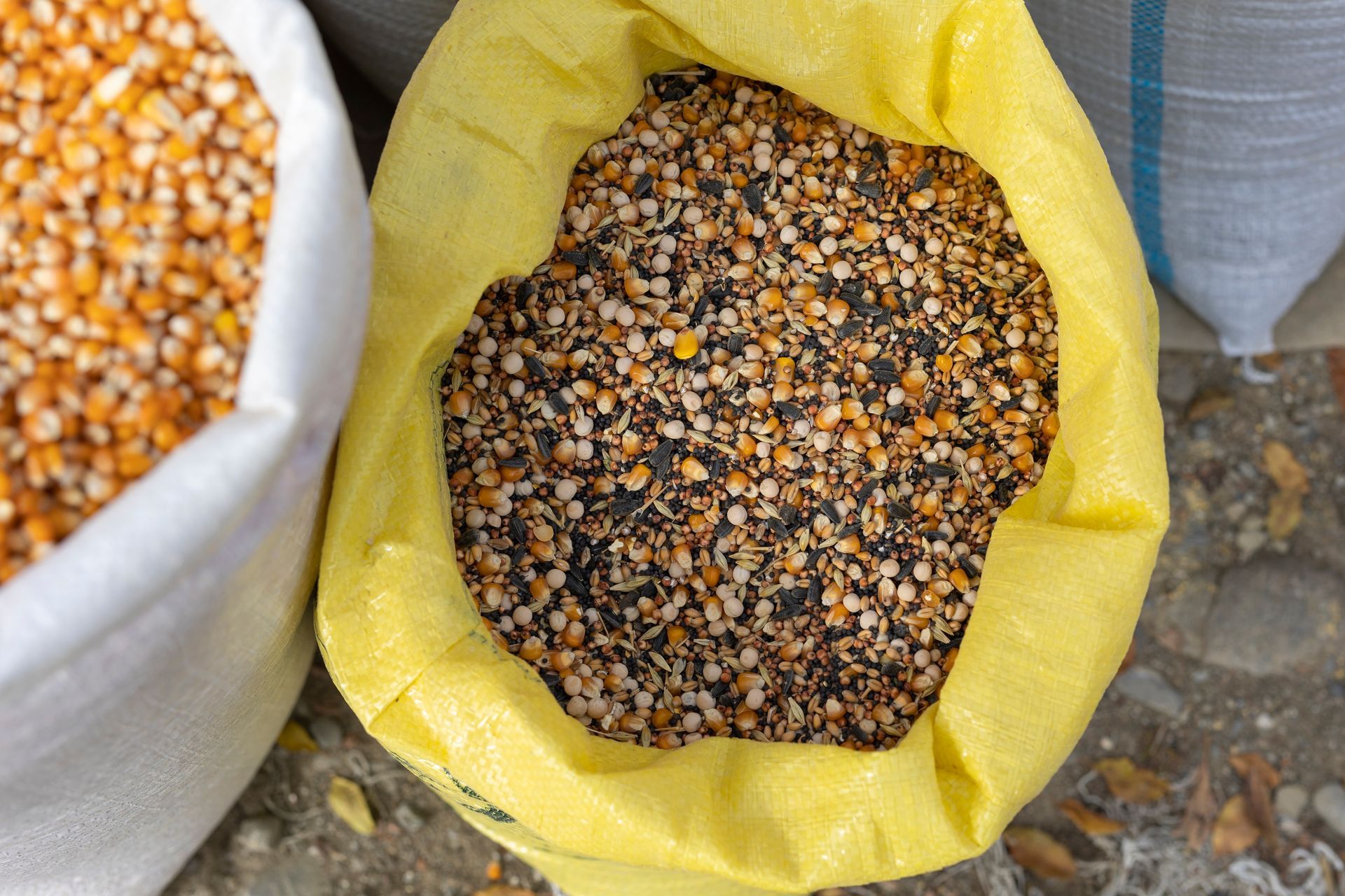 A yellow bag filled with corn is next to a white bag filled with corn