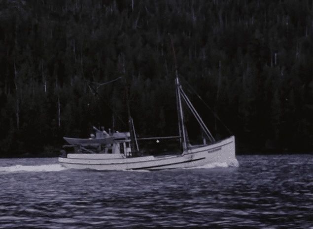 Halibut Fishing on the Fishing Vessel Polaris