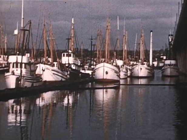 The Sockeye Salmon Story. Alaska Fishing History
