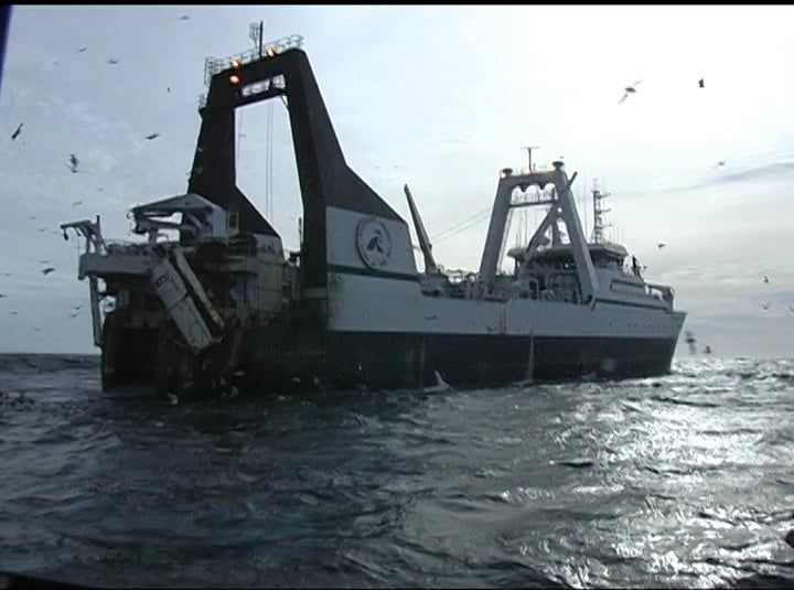 Hake Fishing 7