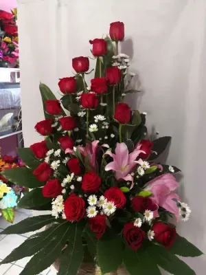 Floreria Lis