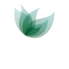 Logo de Delice des sens avec des feuilles vertes et une écriture blanche.