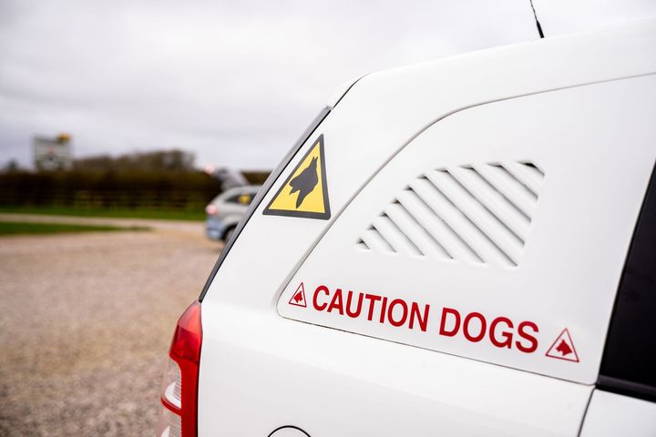 caution dogs sing on van 