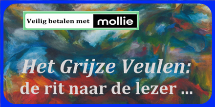 Titel ‘rit naar de lezer’ tegen achtergrond boekcover