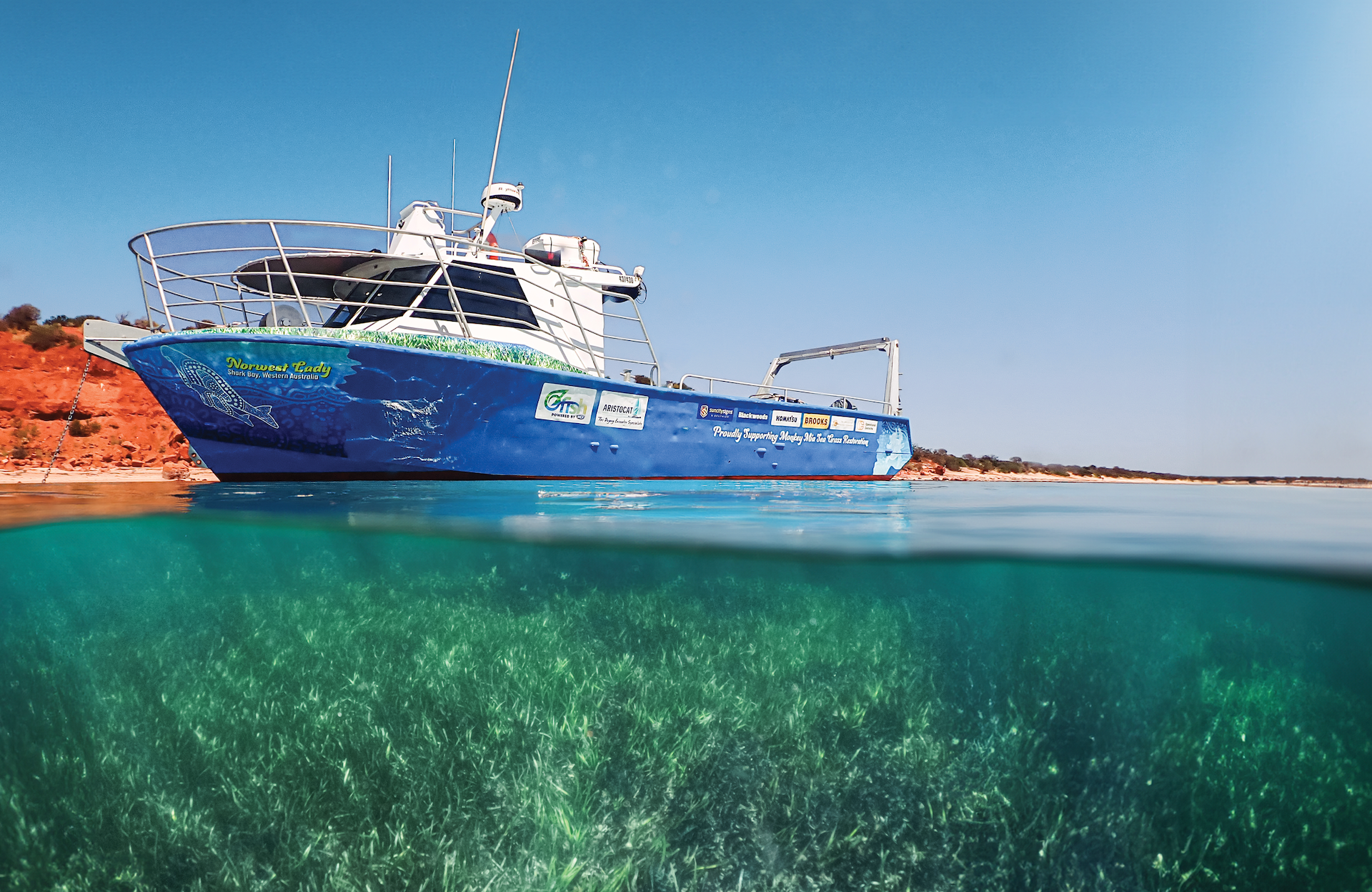Shark Bay Seagrass