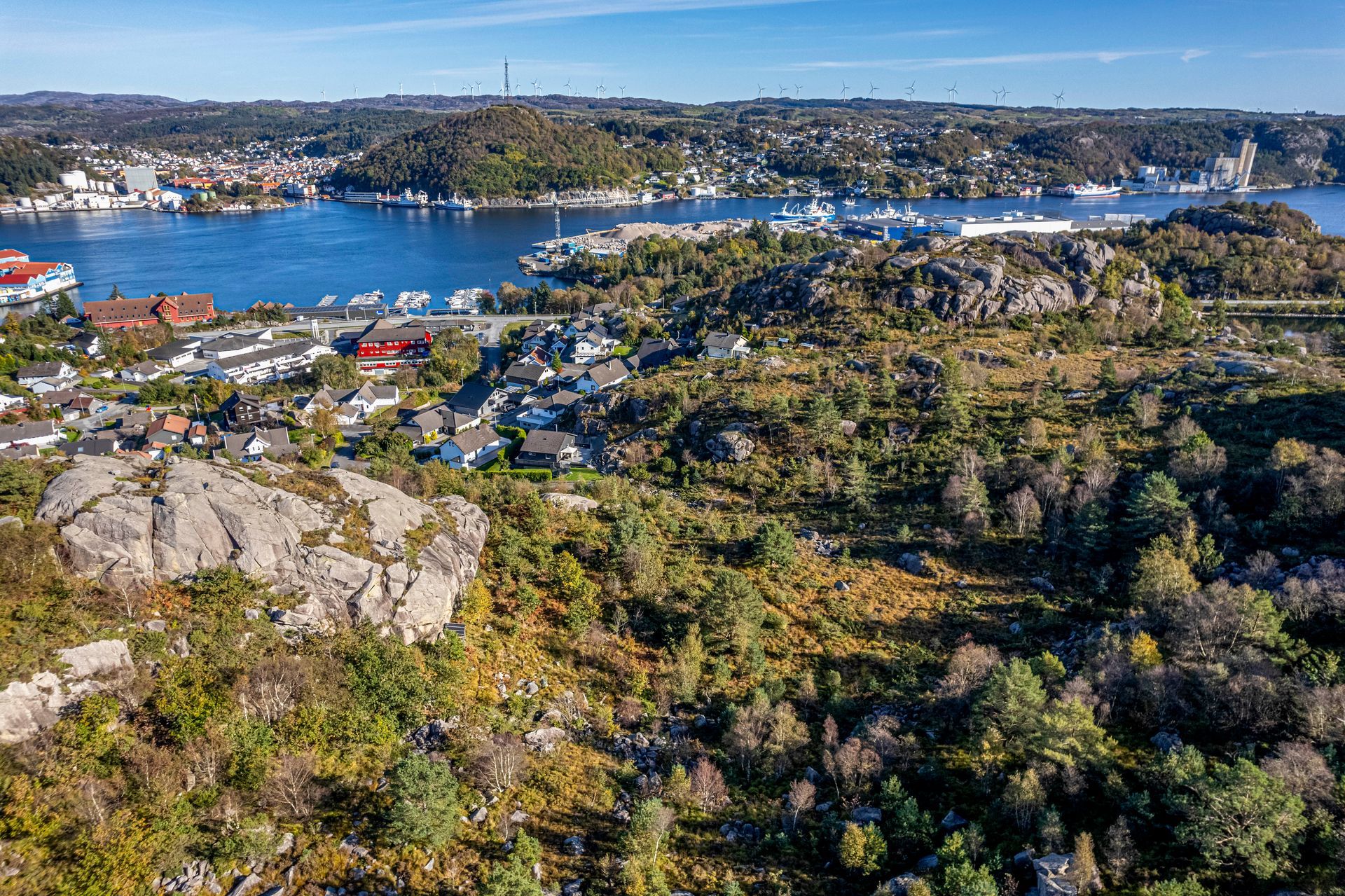 torvhusveien
