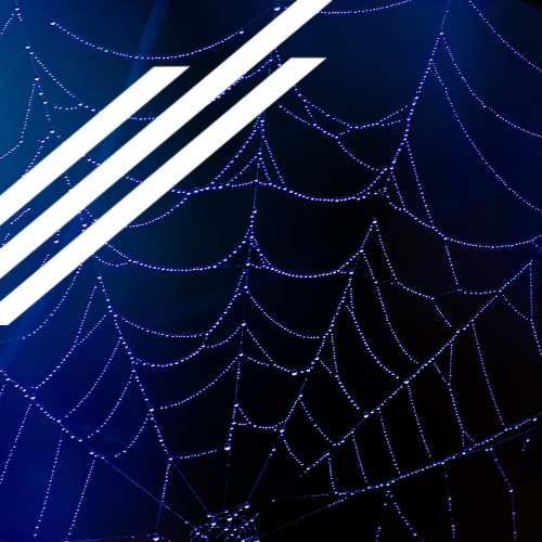 A spider web with three white lines on it