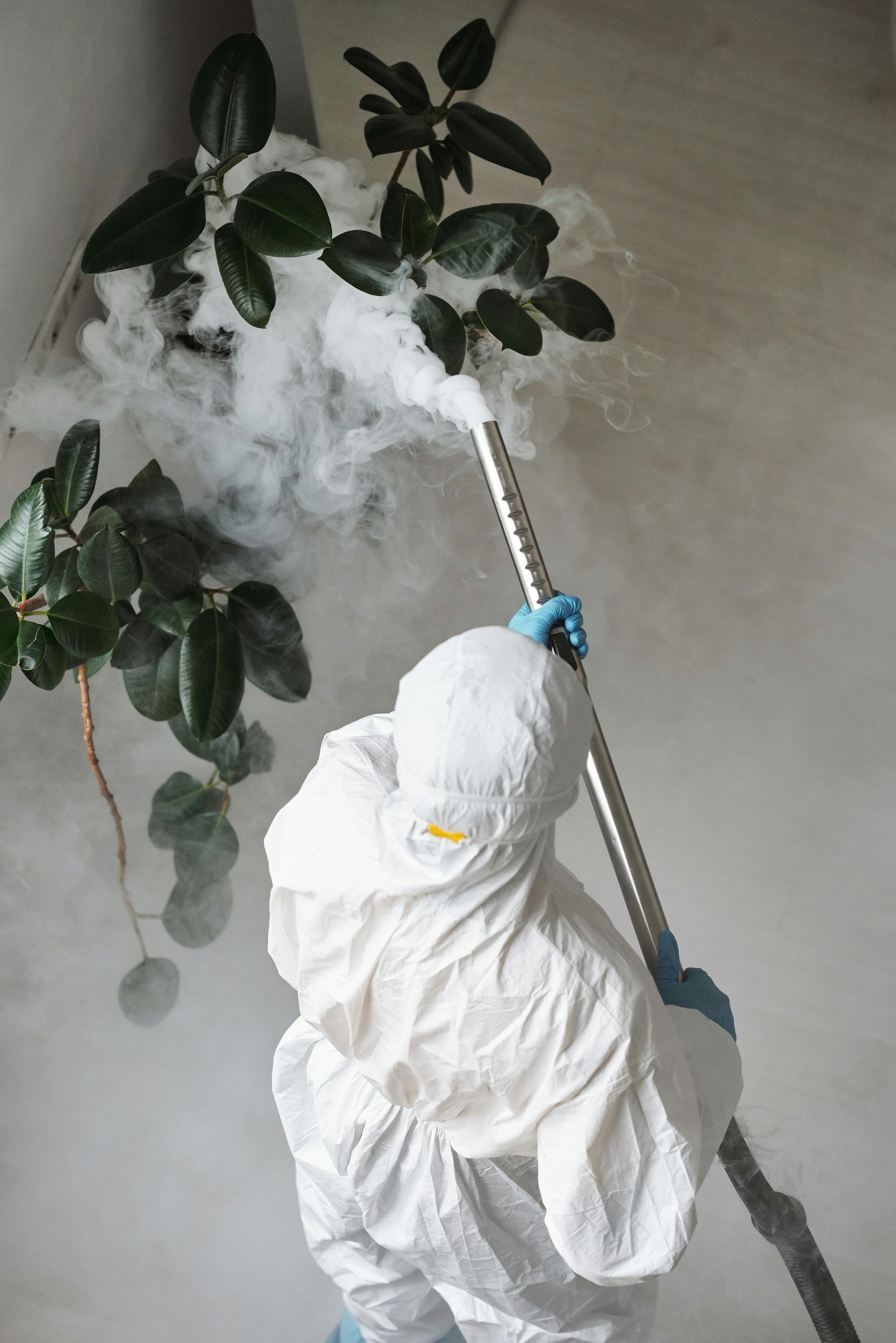 A professional pest controller spraying the bugs.