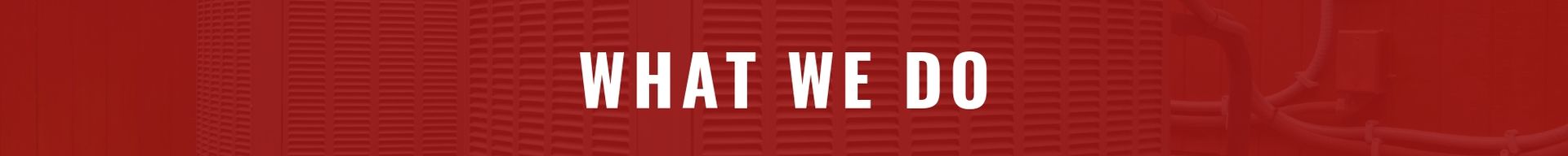 Red banner with the white text “WHAT WE DO”