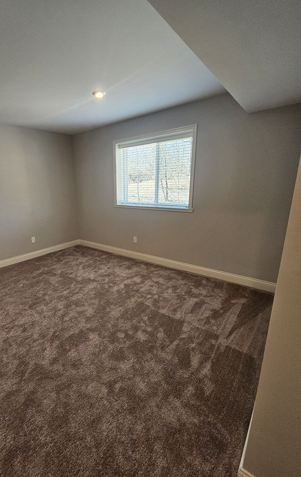 Empty carpeted bedroom with gray walls, white trim, a window, and a ceiling light.