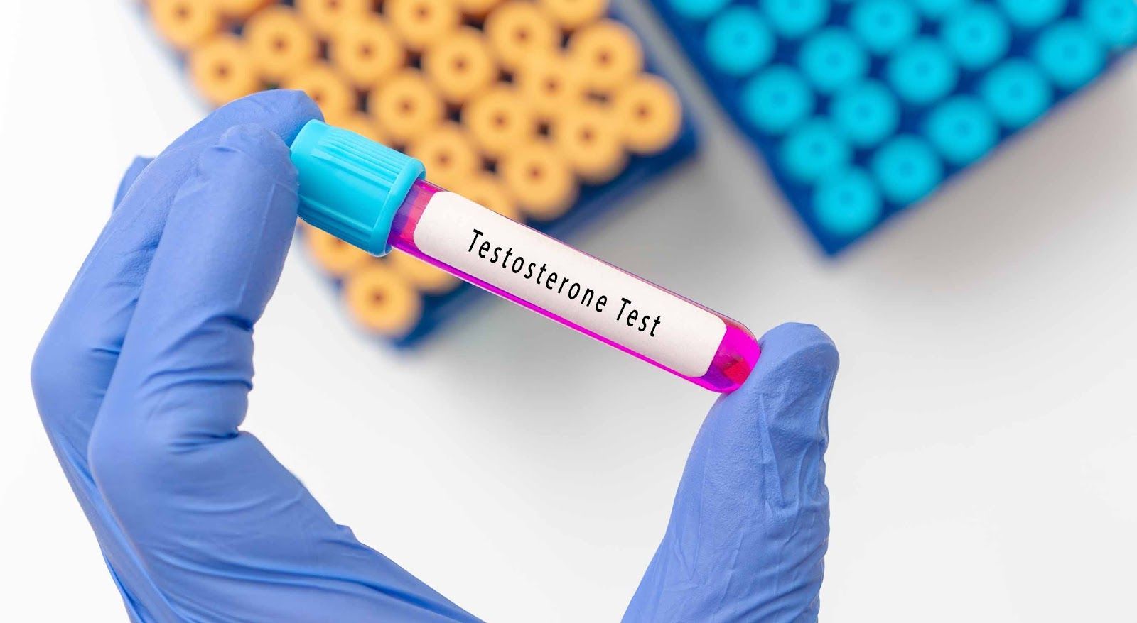 Gloved hand holding a test tube labeled “Testosterone Test” in a lab setting