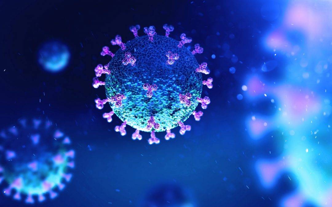 the coronavirus