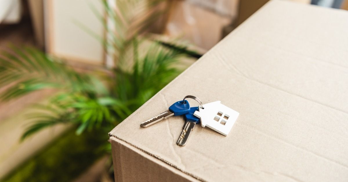A set of keys with a house-shaped keychain is resting on top of a cardboard box. There is a plant in