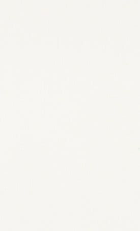 1141 Pure White