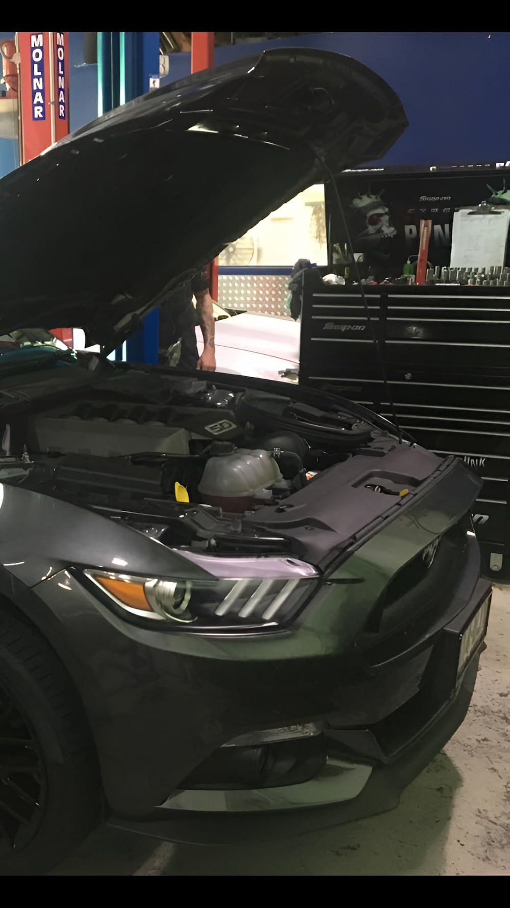 A Gray Mustang With Its Hood Open In A Garage — Hunter Automotive In Bungalow, QLD