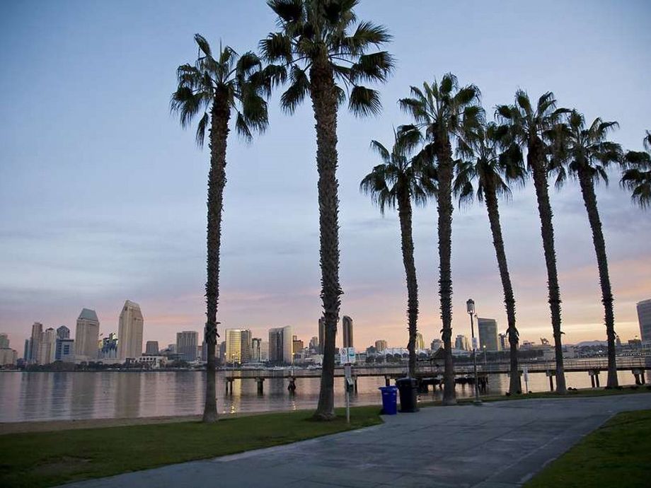 Palm trees along a waterfront promenade with a city skyline at dusk.