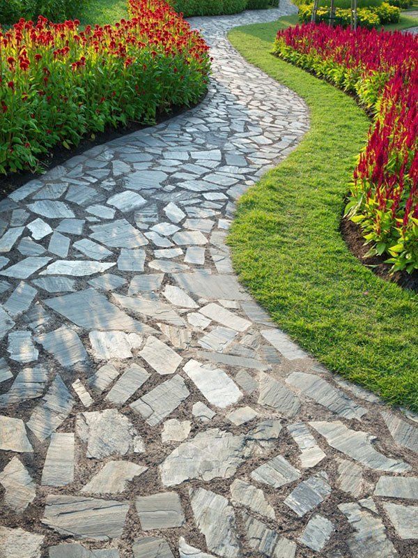Stone Pathway Winding Through a Garden Lined With Red Flowers — CJD Investments (NQ) Pty Ltd in Mackay Harbour, QLD