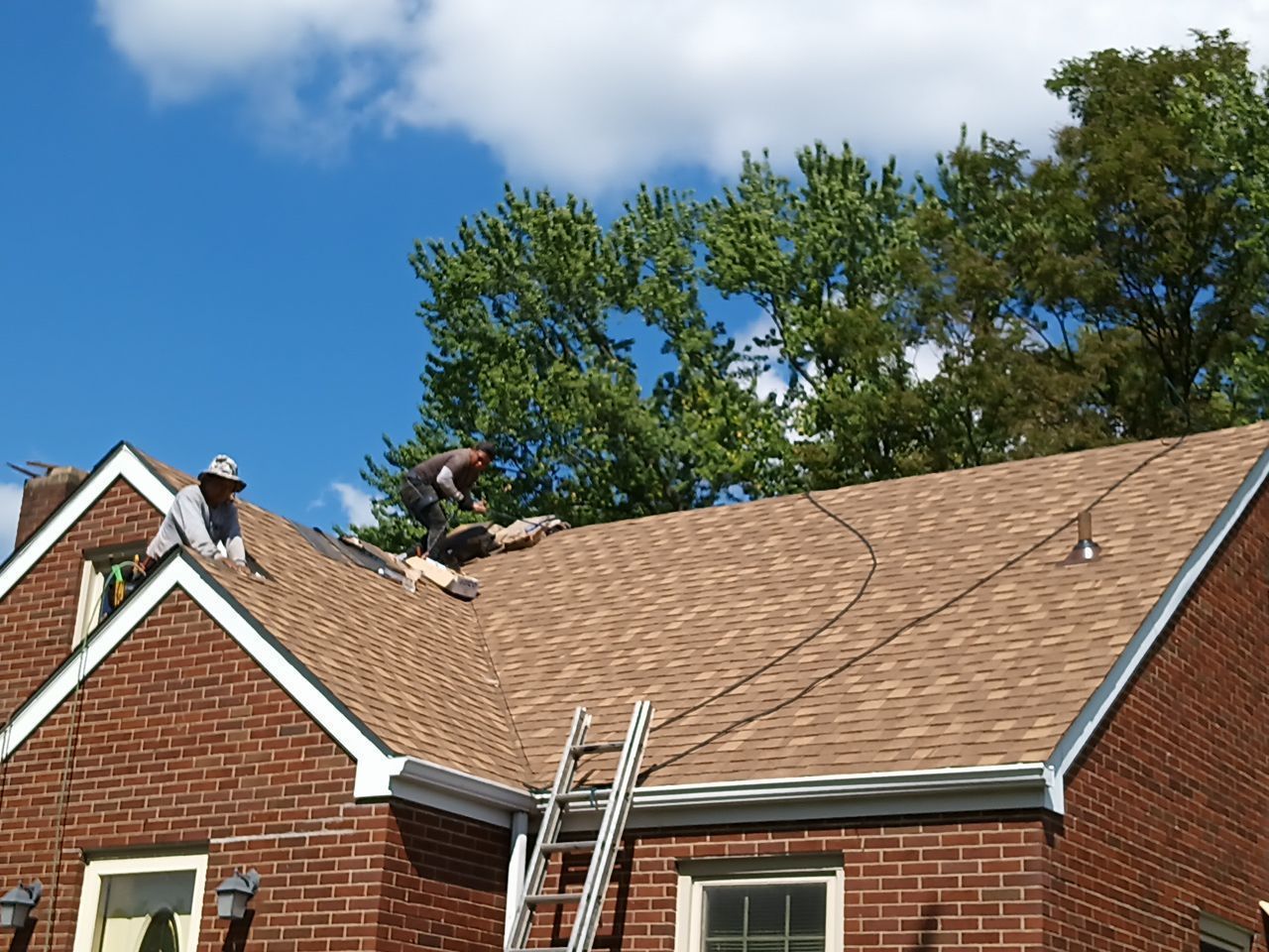 roofing services 81