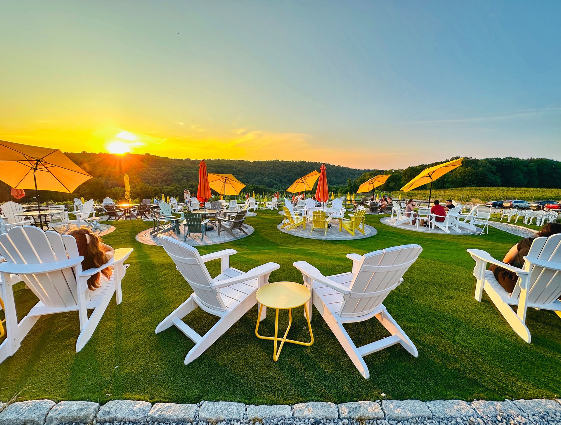 A Wickedly Fun Week at Aquila&rsquo;s Nest Vineyards!